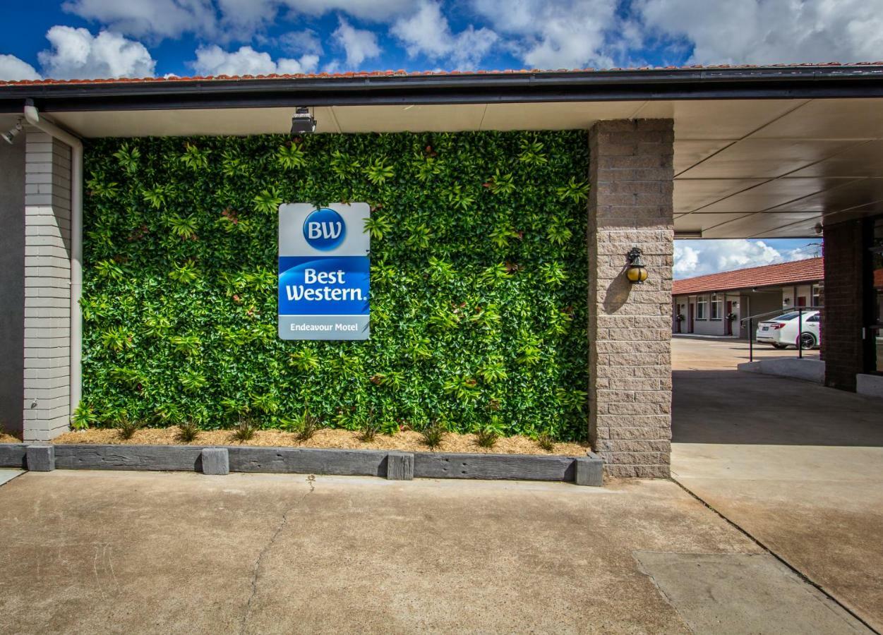 Best Western Endeavour Motel Maitland Kültér fotó
